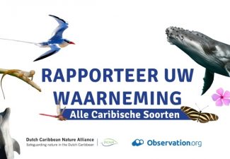 Vandaag Wereldmilieudag