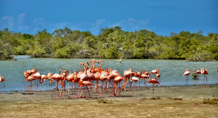 'Bonaire wil terug naar code geel'