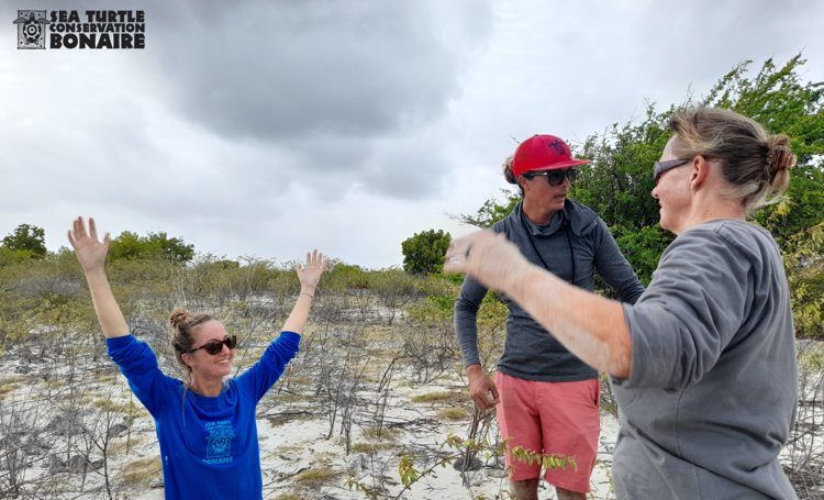 Bonaire gaat onderzoek doen naar strandtemperatuur om schildpad te redden